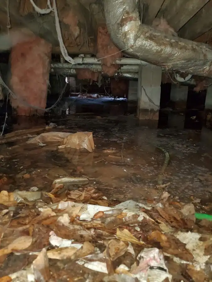 Crawl space flood assessment for Leak Detection & Repair in Central City
