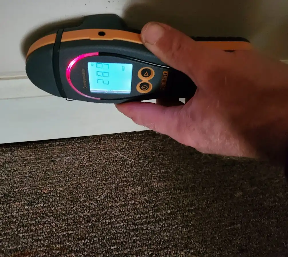 Moisture detection at baseboard during Mold Inspection & Testing in Central City